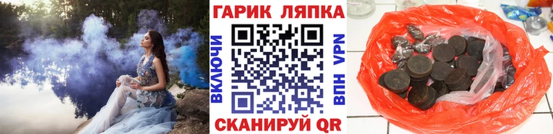 ГАШ Изолятор Лесной