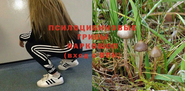 а пвп мука Алексин