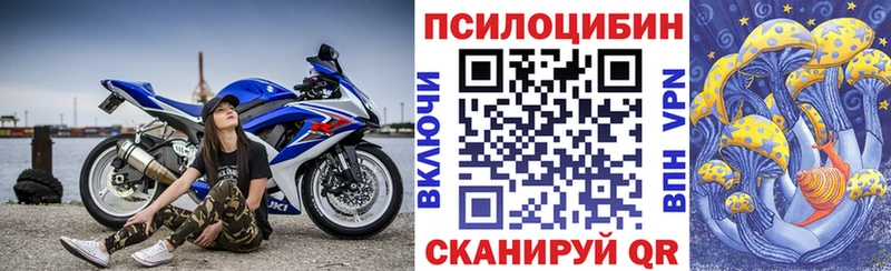 OMG маркетплейс  Лесной  Псилоцибиновые грибы мухоморы 